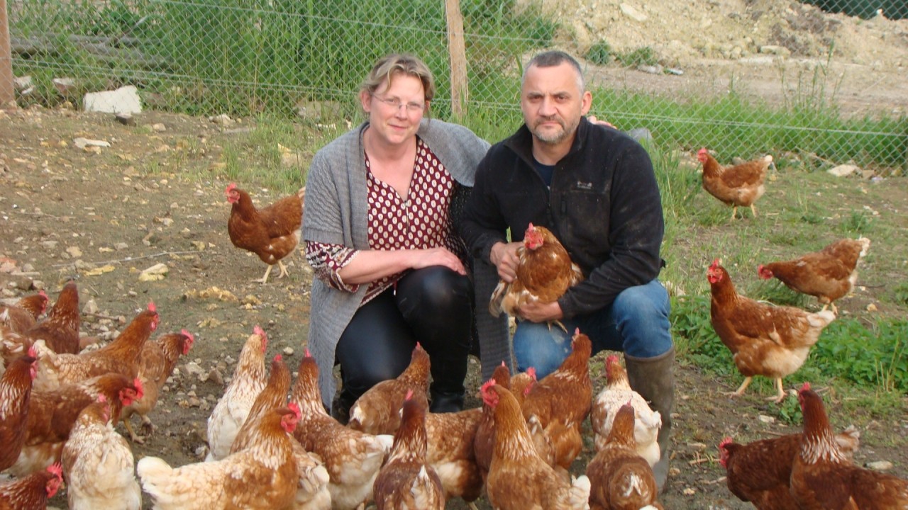 La Ferme de la Famille Patin La Ferme de la Famille Patin