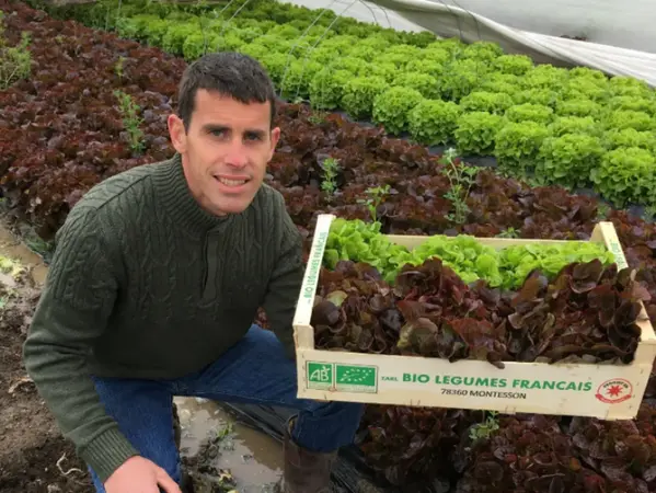 Bio Légumes Français
