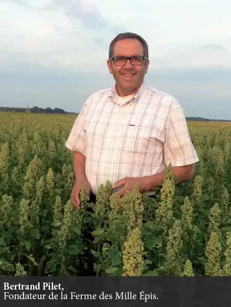 La Ferme des Mille Epis La Ferme des Mille Epis